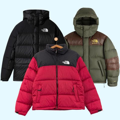 The North Face Premium Puffer
